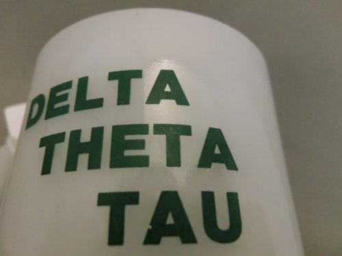 他の写真1: DELTA THETA TAU