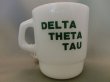 画像2: DELTA THETA TAU (2)